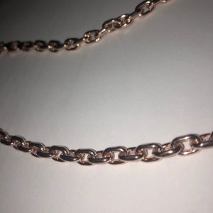 Fiorenza 18”rolo necklace in rose gold over SS